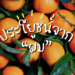 ประโยชน์จาก”ส้ม” ที่หลายคนมองข้าม