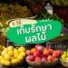 5 วิธีเก็บรักษาผลไม้ให้อยู่ได้นาน